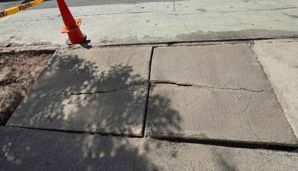 cracked sidewalk flags caused by tree roots at 324 2nd ave