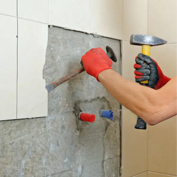 Bathroom Demolition