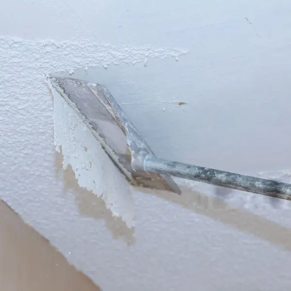 Ceiling Removal